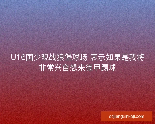 U16国少观战狼堡球场 表示如果是我将非常兴奋想来德甲踢球