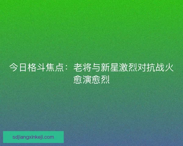 今日格斗焦点：老将与新星激烈对抗战火愈演愈烈