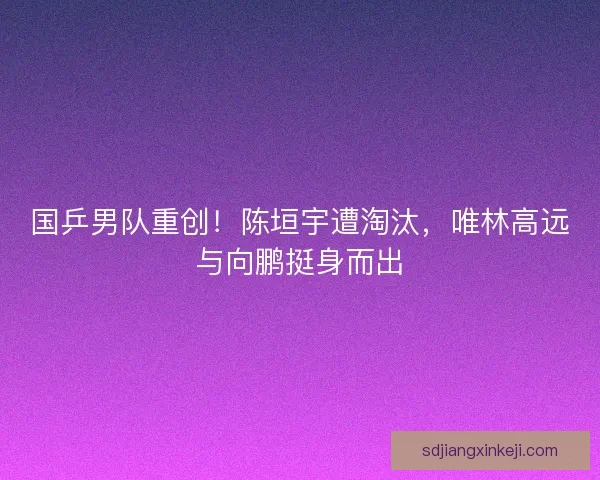 国乒男队重创！陈垣宇遭淘汰，唯林高远与向鹏挺身而出