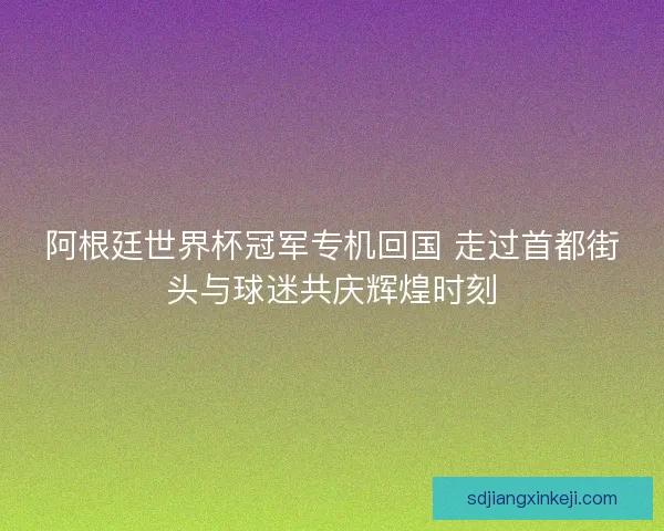阿根廷世界杯冠军专机回国 走过首都街头与球迷共庆辉煌时刻