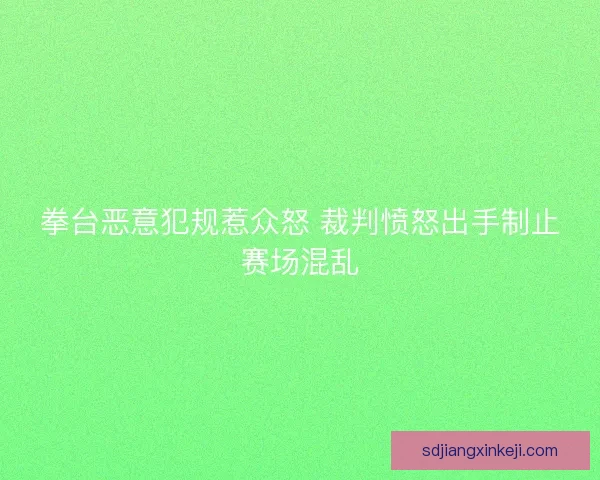 拳台恶意犯规惹众怒 裁判愤怒出手制止赛场混乱 拳台恶意犯规惹众怒 裁判愤怒出手制止赛场混乱