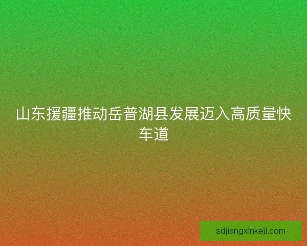 山东援疆推动岳普湖县发展迈入高质量快车道 山东援疆推动岳普湖县发展迈入高质量快车道